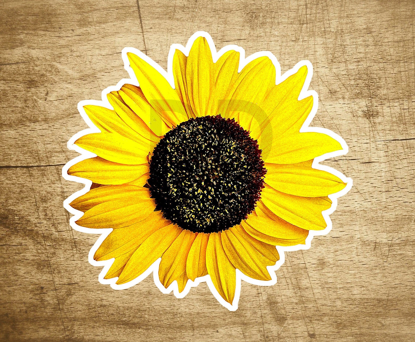Daisy Yellow Cute Colorful Flower Sticker Flowers Decal 3.3" X 3.2" Hippie