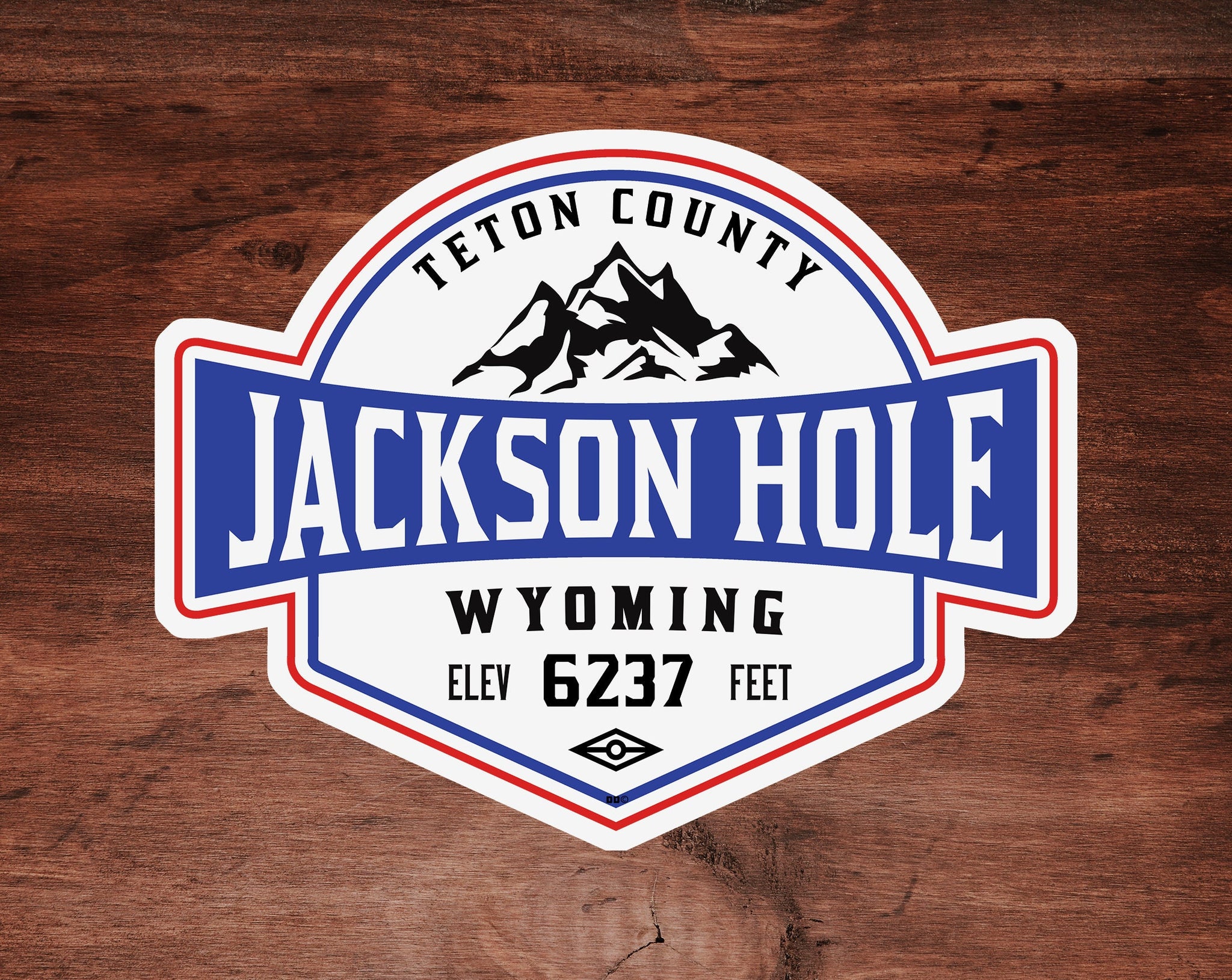 Skiing Jackson Hole Wyoming Decal Sticker  3.5" x 2.75" Ski Vinyl