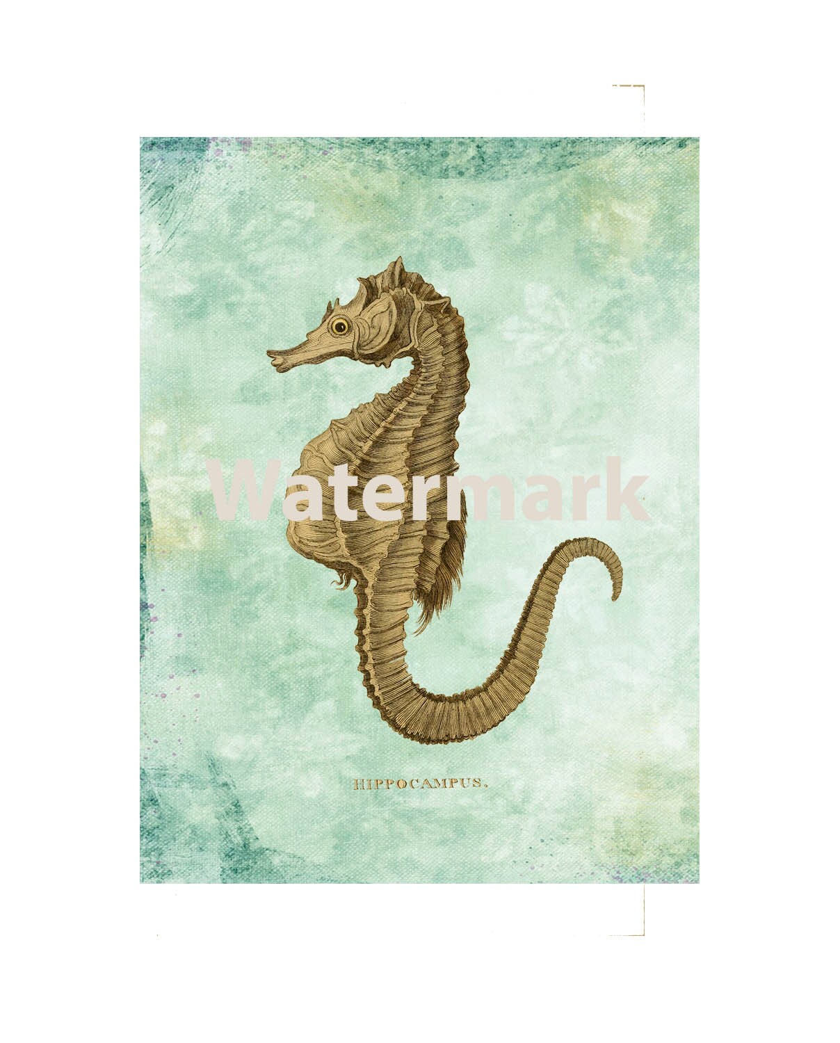 Instant Download Seahorse Digital Print For 8 1/2" x 11" Paper Sized To 8" x 10" Nautical Ocean Art