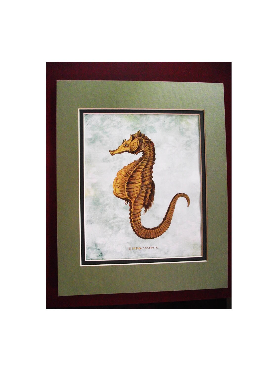 Instant Download Seahorse Digital Print For 8 1/2" x 11" Paper Sized To 8" x 10" Nautical Ocean Art