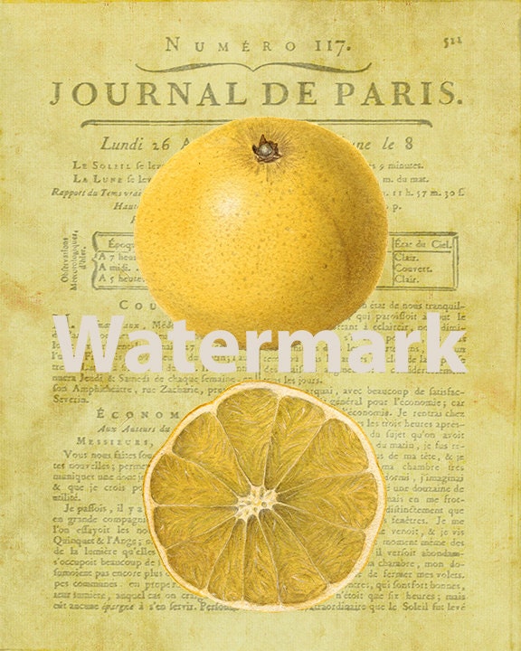 4 Instant Download French Country Fruit Digital Prints  8" x 10"  Art Antique Apple Orange Lemon Plum