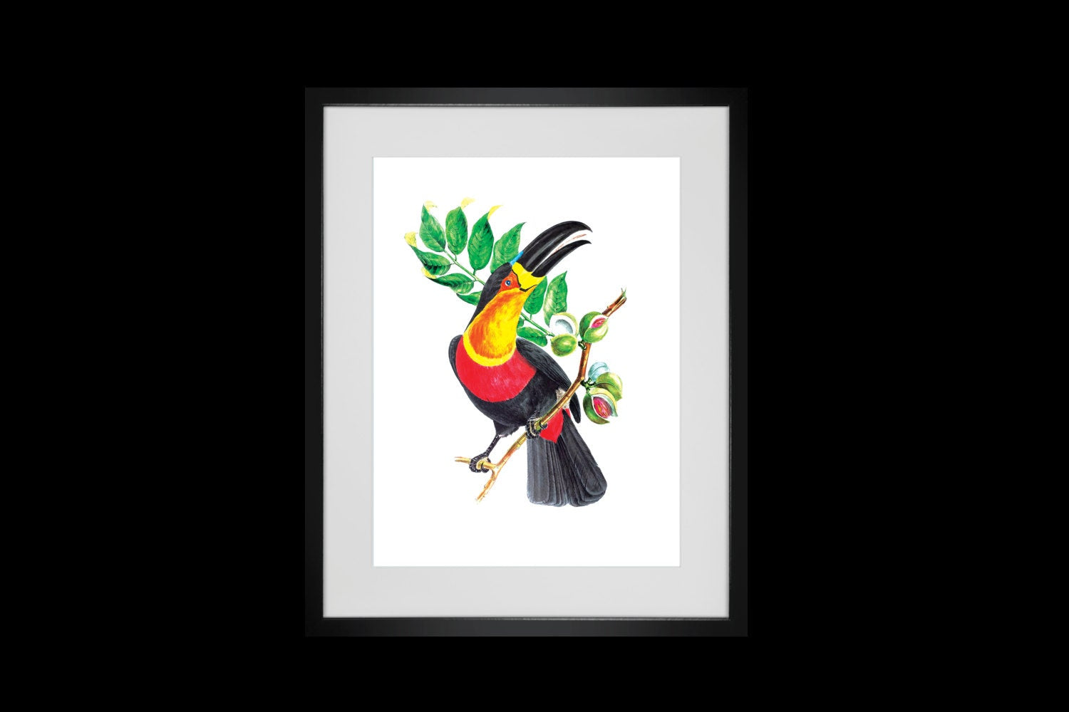 Antique Bird Prints Wall Decor 4 Colorful Bird Art Prints For Bedroom, Living Room Kitchen Pictures Vintage Scientific Illustration Wall Art