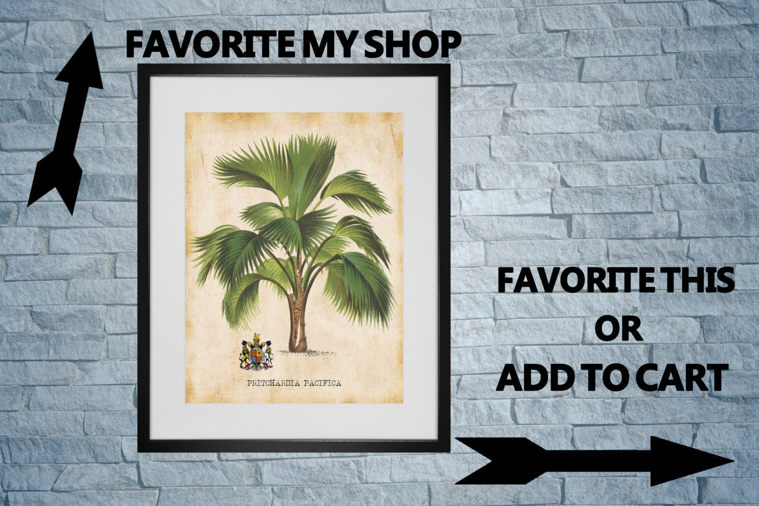 Palm Tree Art Print For You To Print 8" x 10" & 11" x 14" Antique Tropical Palms Wall Decor Botanical Print Picture Instant Download