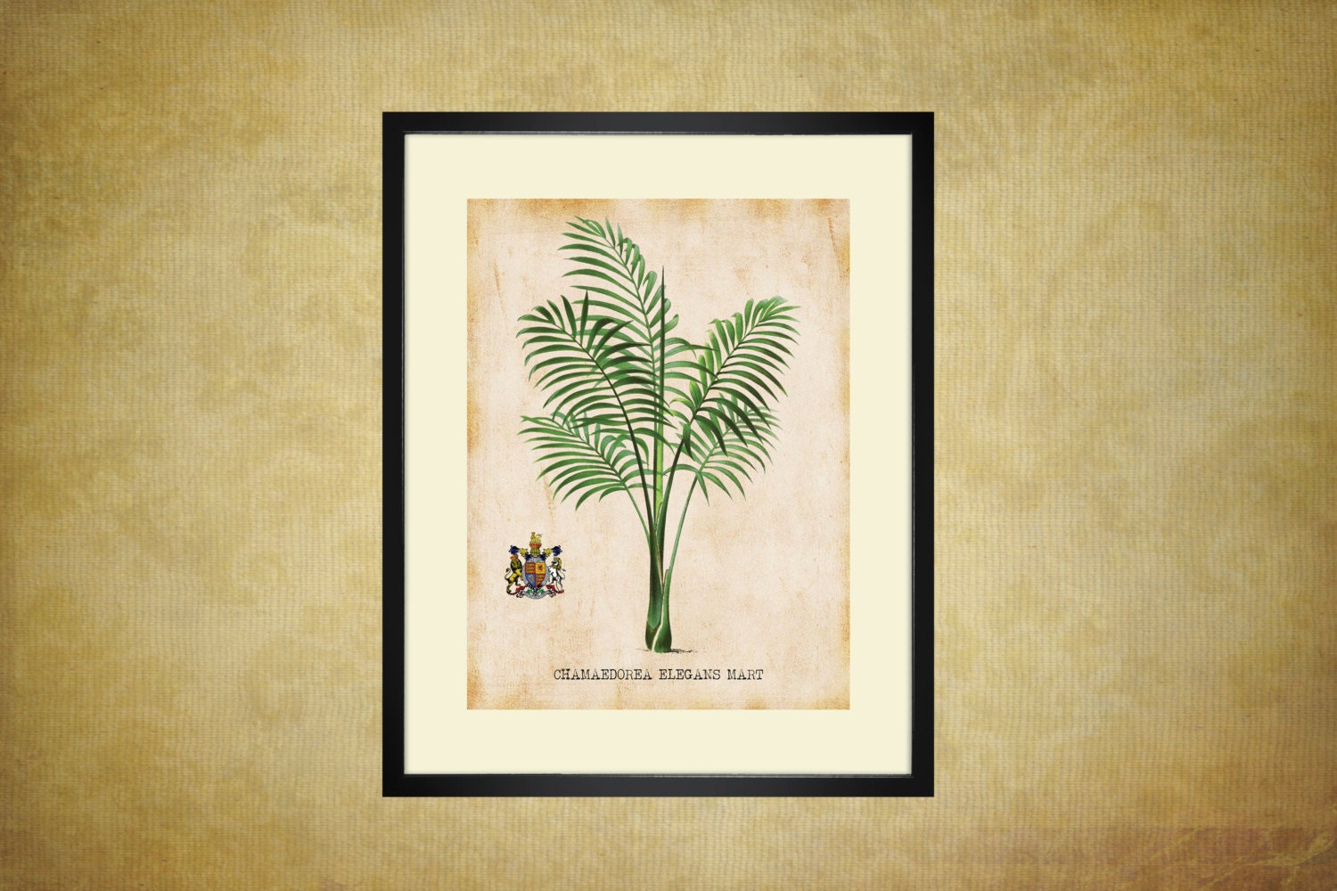 Tropical Palm Tree Art Prints Set For You To Print 7.5" x 9.5"  For Matting Antique Palms Wall Decor Botanical Print Picture Instant