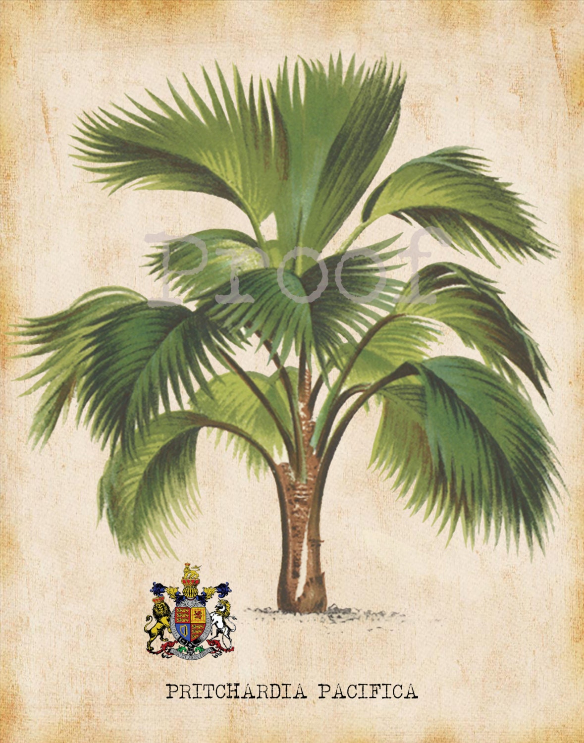 Tropical Palm Tree Art Prints Set For You To Print 7.5" x 9.5"  For Matting Antique Palms Wall Decor Botanical Print Picture Instant