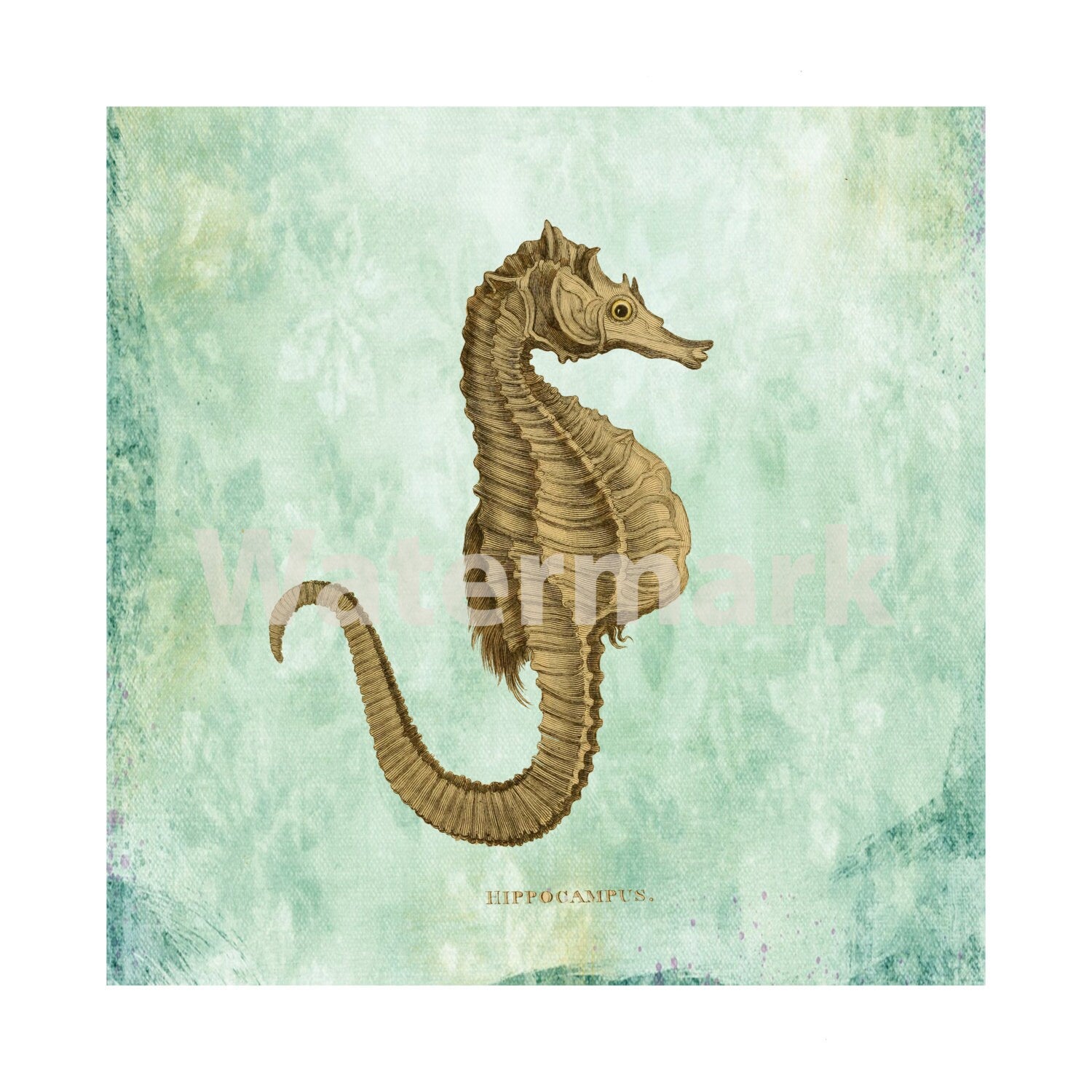 Seahorse Art Print For Instant Download 8 1/2" x 11" Paper Print Is 8" x 8" Square Nautical Ocean Art Print Beach Decor