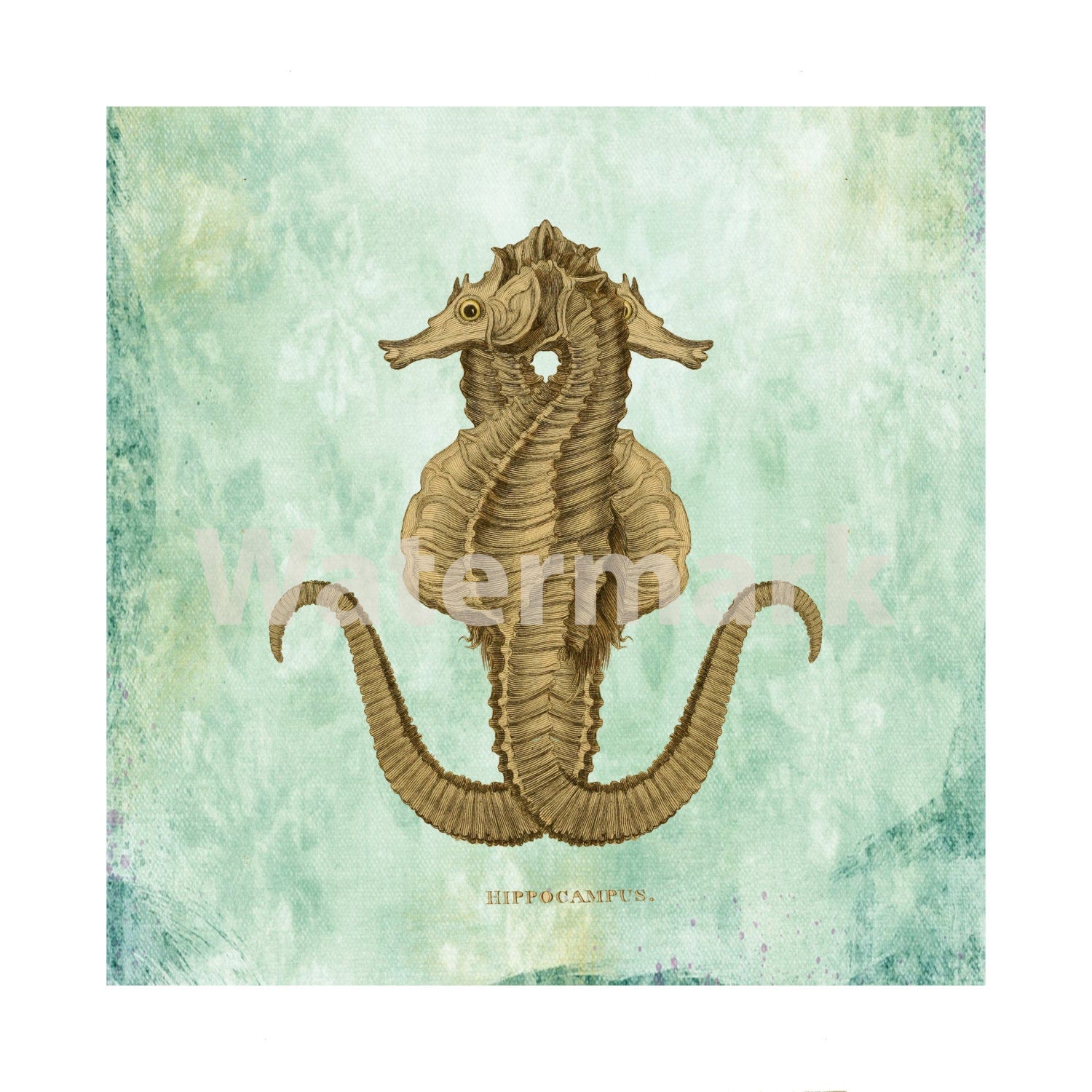 Seahorse Art Print For Instant Download 8 1/2" x 11" Paper Print Is 8" x 8" Square Nautical Ocean Art Print Beach Decor